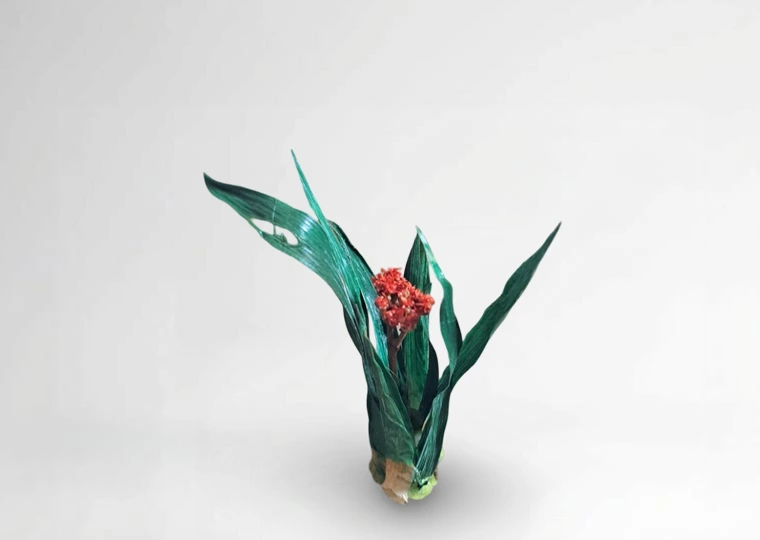 Pianta con fiore in miniatura realistica per diorama realizzata a mano con materiali naturali essiccati