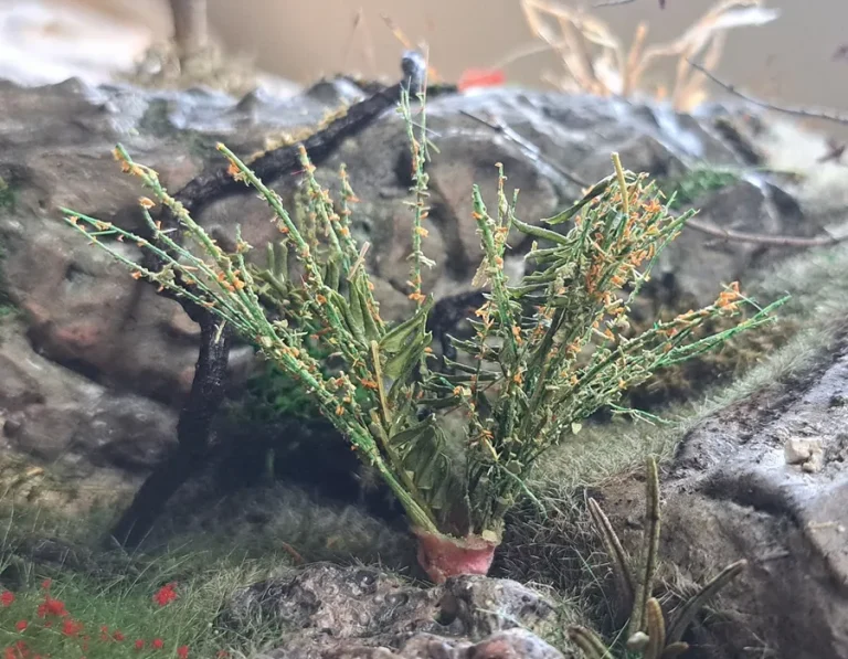 Pianta in miniatura realistica per diorama realizzata a mano con materiali naturali essiccati