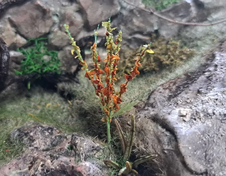 Fiore in miniatura realistica per diorama realizzata a mano con materiali naturali essiccati