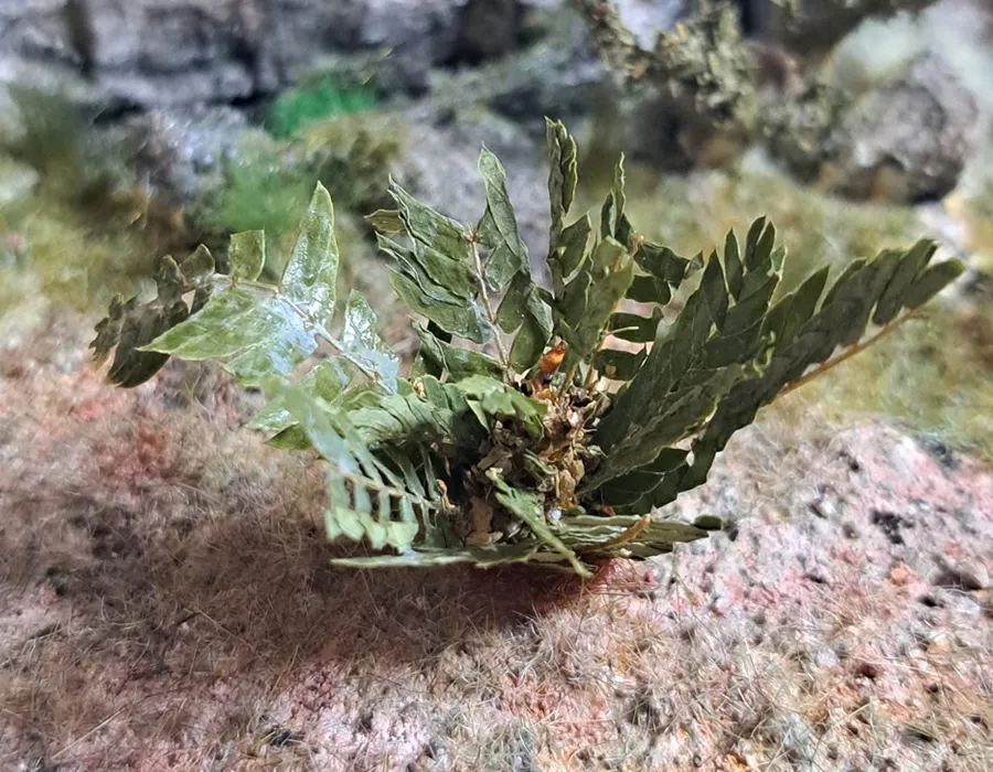 Pianta in miniatura realistica per diorama realizzata a mano con materiali naturali essiccati