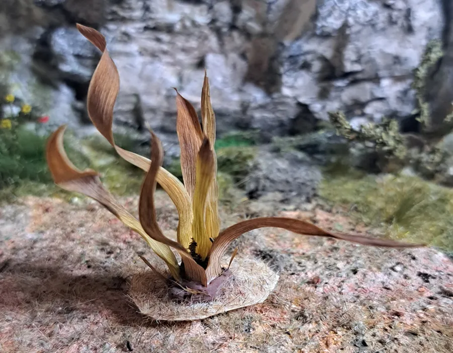 Pianta in miniatura realistica per diorama realizzata a mano con materiali naturali essiccati