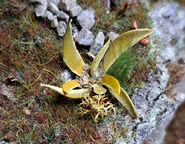 Pianta in miniatura realistica per diorama realizzata a mano con materiali naturali essiccati