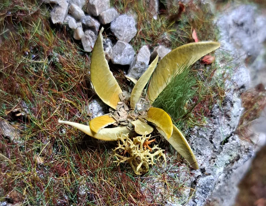 Pianta in miniatura realistica per diorama realizzata a mano con materiali naturali essiccati