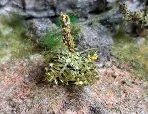 Pianta in miniatura realistica per diorama realizzata a mano con materiali naturali essiccati