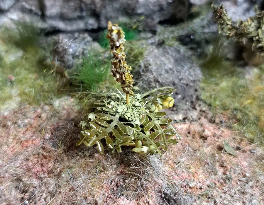 Pianta in miniatura realistica per diorama realizzata a mano con materiali naturali essiccati