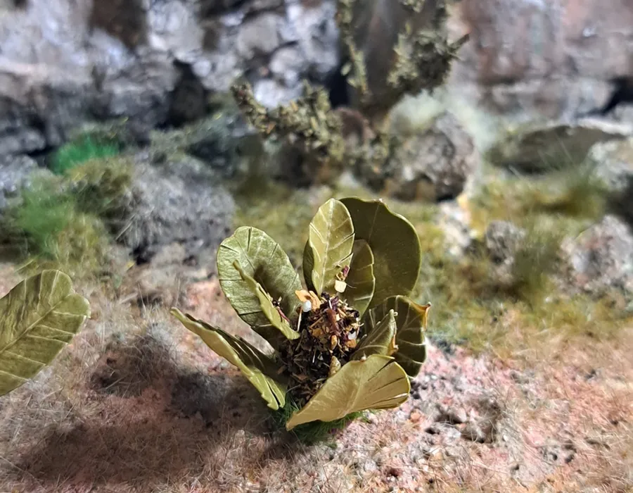 Pianta in miniatura realistica per diorama realizzata a mano con materiali naturali essiccati