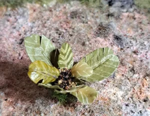 Pianta in miniatura realistica per diorama realizzata a mano con materiali naturali essiccati