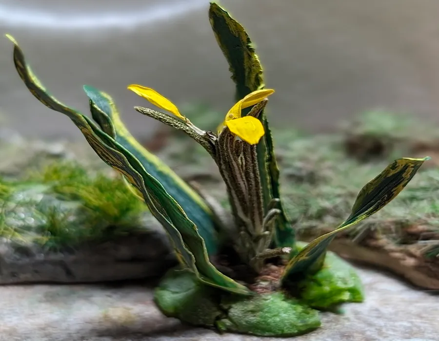 Pianta con fiore in miniatura realistica per diorama realizzata a mano con materiali naturali essiccati