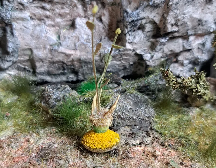 Pianta con fiore in miniatura realistica per diorama realizzata a mano con materiali naturali essiccati