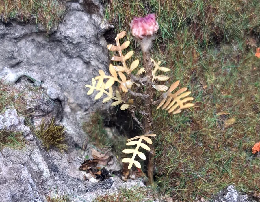 Pianta co fiore in miniatura realistica per diorama realizzata a mano con materiali naturali essiccati