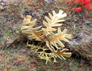 Pianta in miniatura realistica per diorama realizzata a mano con materiali naturali essiccati