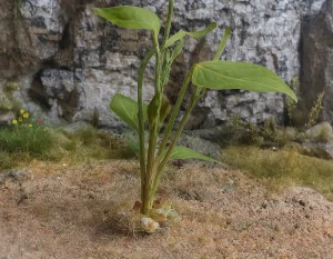 Pianta in miniatura realistica per diorama realizzata a mano con materiali naturali essiccati