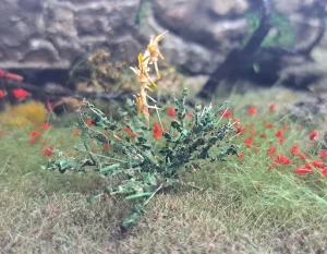 Pianta con fiore in miniatura realistica per diorama realizzata a mano con materiali naturali essiccati