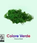 Mini arrampicante con fiori Colore Verde per diorami e modellismo confezione 6g