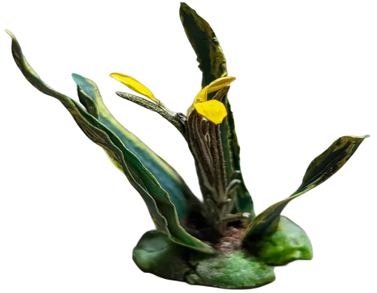 Pianta con fiore in miniatura realistica per diorama realizzata a mano con materiali naturali essiccati